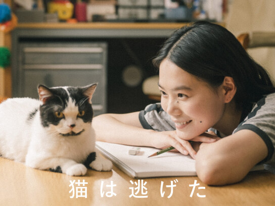 猫は逃げた
